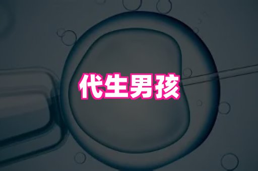 821孕网 4